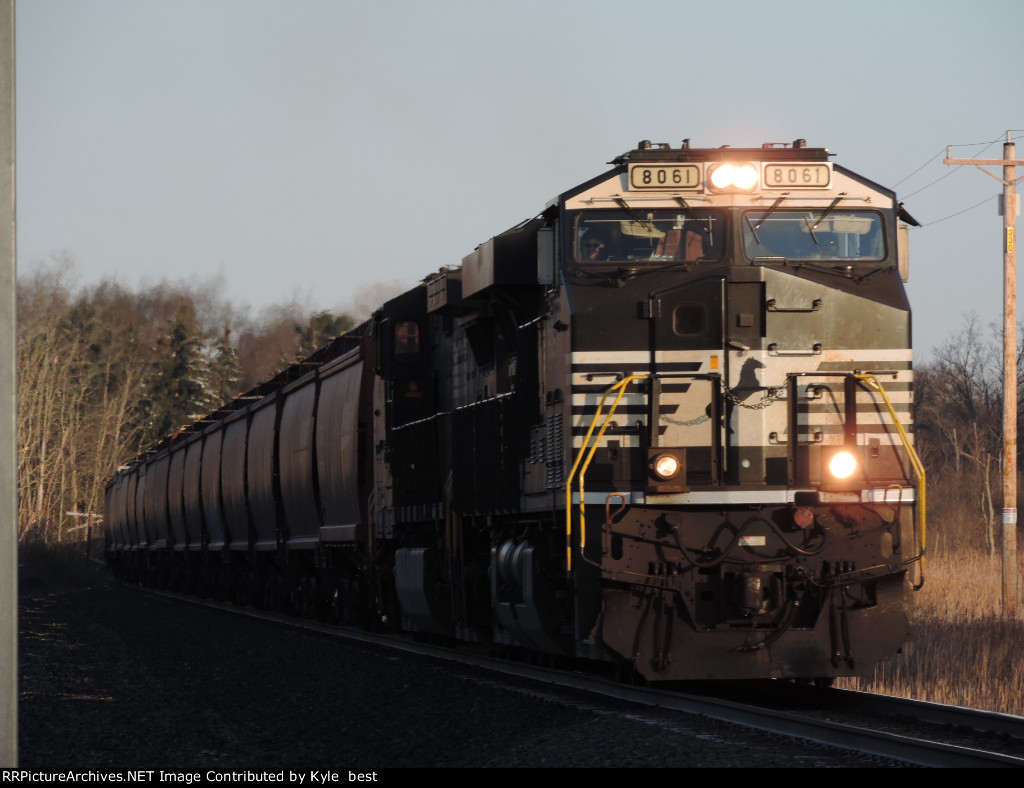 NS 8061 on 310